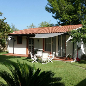  Le Cabanon  Флоридия